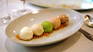 Dog Food : Ice Cream :: MSN Search : Bing